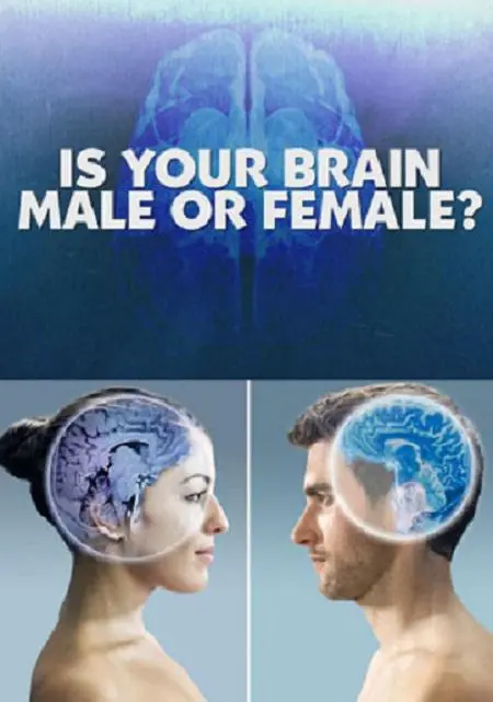 《你的大脑是男性还是女性》：脑科学的颠覆性解读，性别认同的科学与情感双重探索，一场关于“我是谁”的深刻追问！