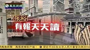 《有报天天读》：一场穿越时空的电竞风云，热血与智慧的巅峰对决，重塑游戏竞技新格局